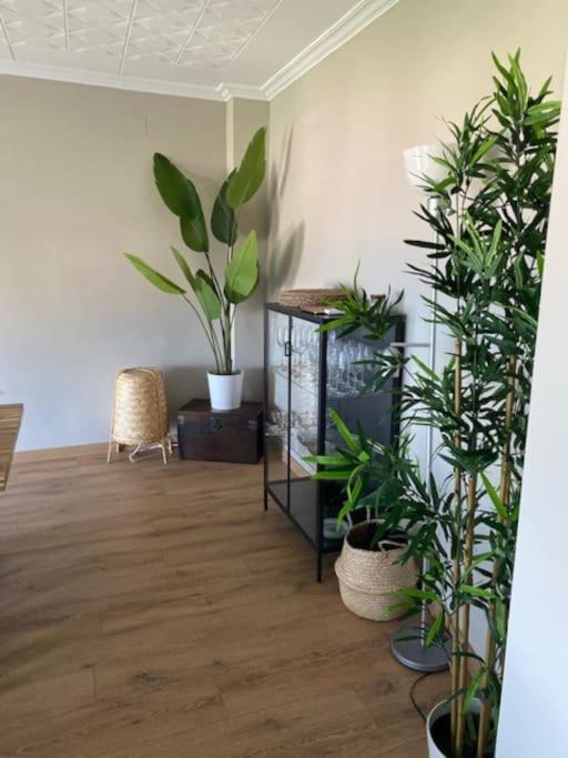 Primera Linea De Mar Y Playa 罗萨斯 外观 照片
